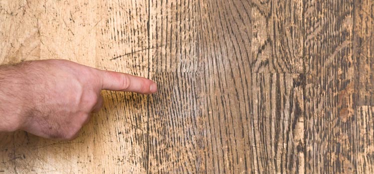 Wood Door Scratch Repair in Hayward